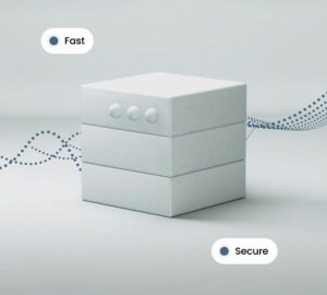 Exness Server Options