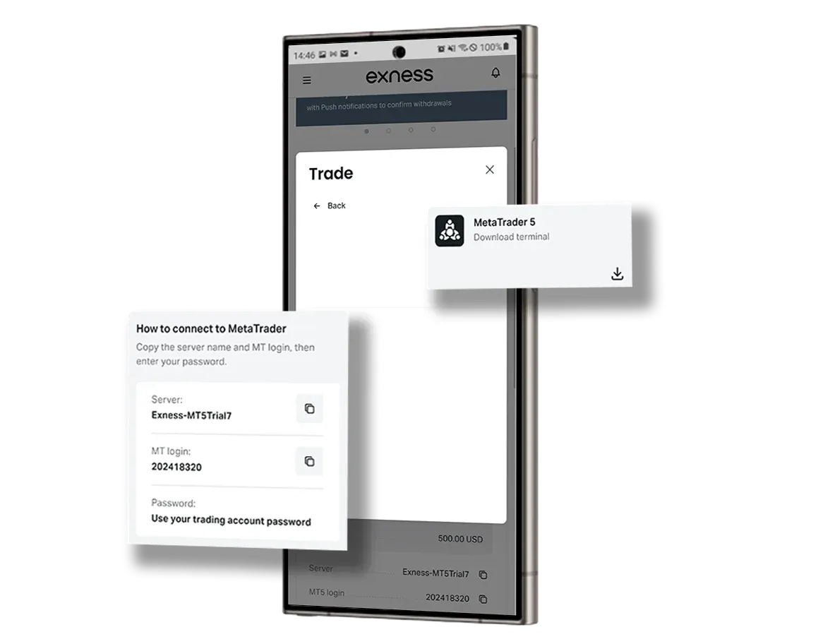 Connect Exness to MetaTrader 5