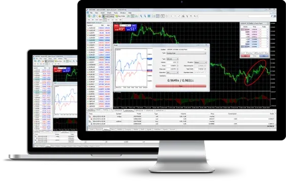 Exness Server for MetaTrader 5